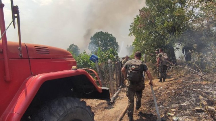 Снимка: БГНЕС