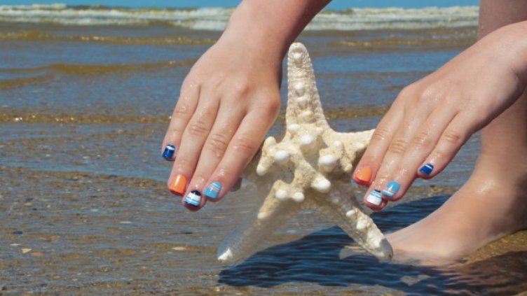 Снимка: iStock/marigo20