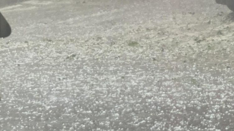 Снимка: БГНЕС, архив