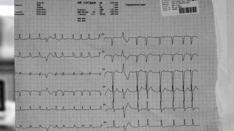 Снимка: архив, БГНЕС