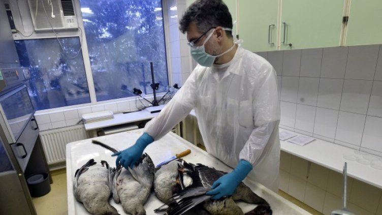 Снимка БГНЕС