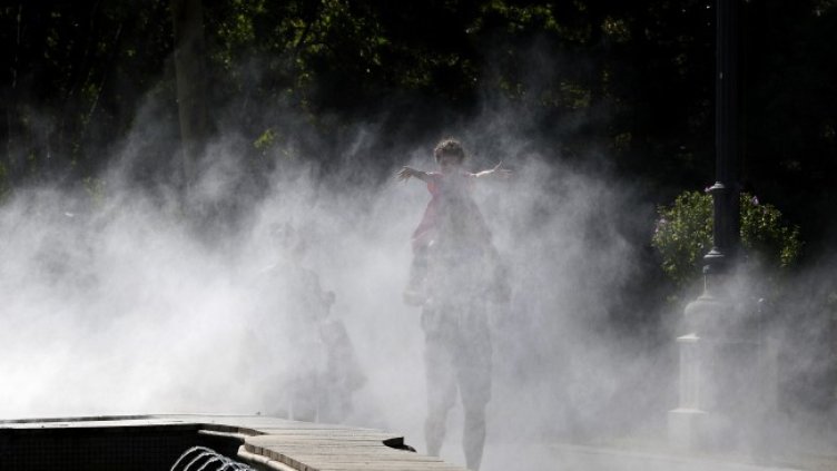 Снимка: архив, БГНЕС