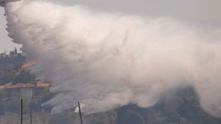 Снимка: БГНЕС, архив