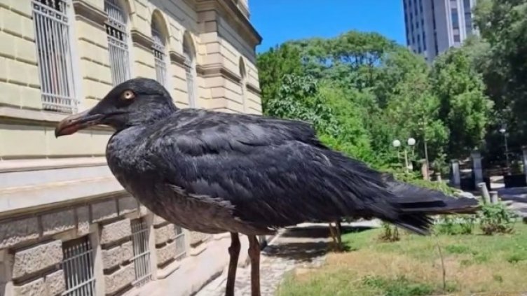 Снимка НОВА