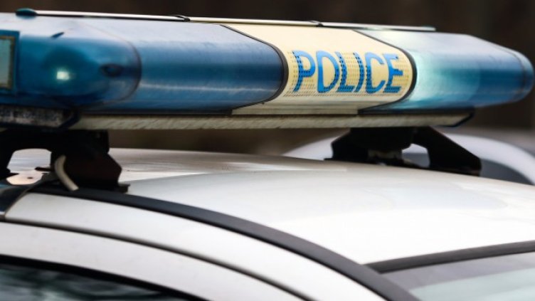 Снимка: архив, БГНЕС