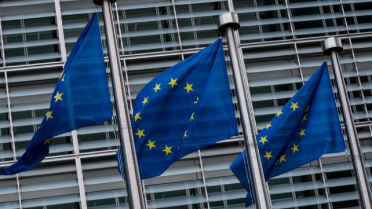 Снимка: архив, БГНЕС