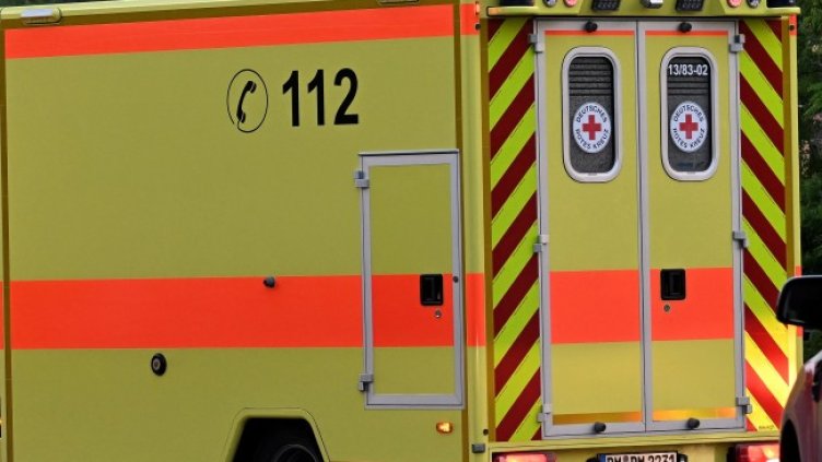 Снимка: архив, БГНЕС