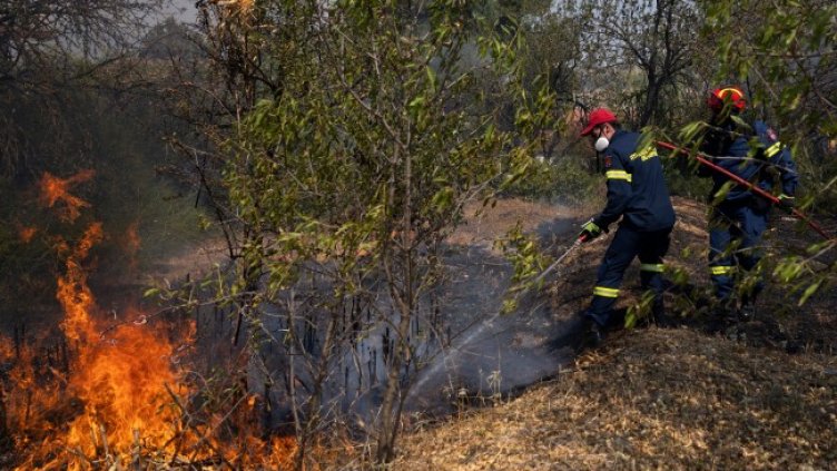 Снимка: БГНЕС