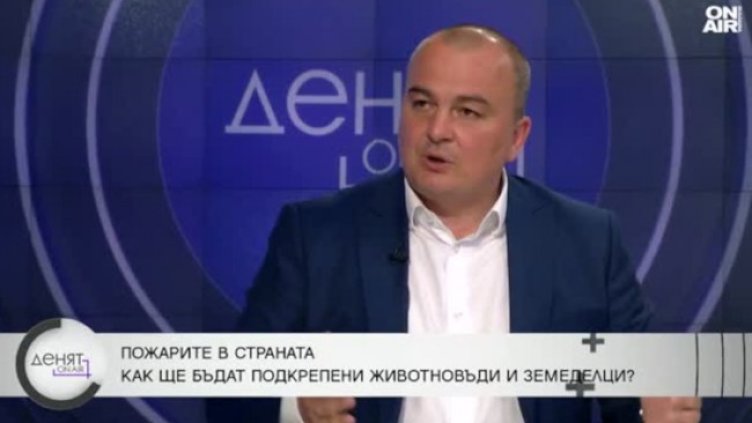 Снимка: Bulgaria ON AIR