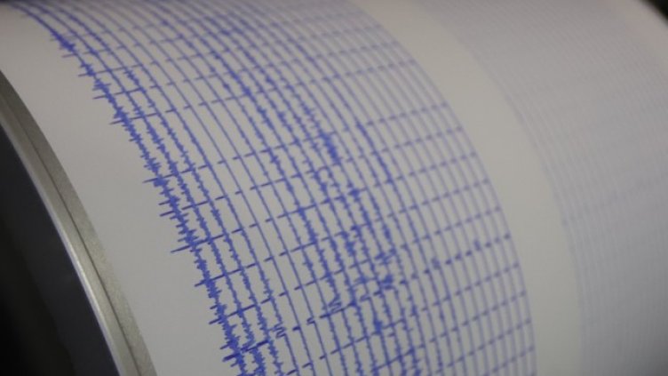 Снимка: архив, БГНЕС