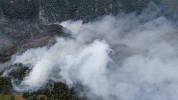 Снимка: БГНЕС