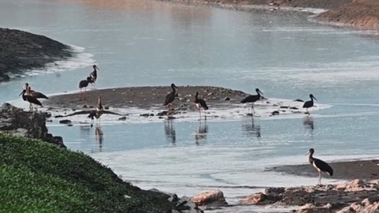 Снимка  Пресс ТВ