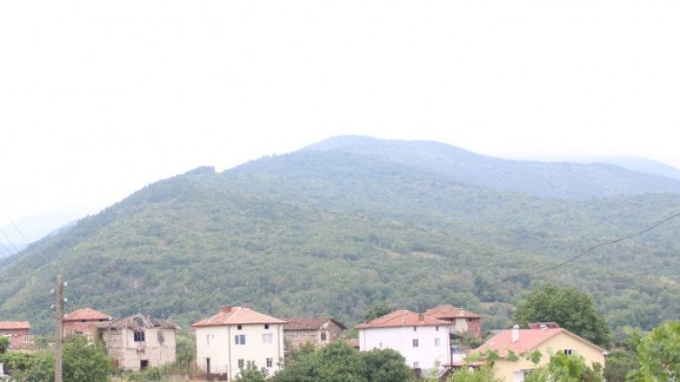 Снимка: архив, БГНЕС