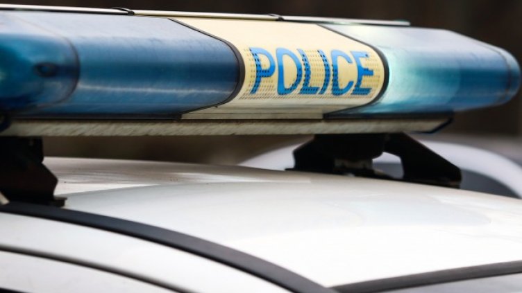 Снимка: архив, БГНЕС