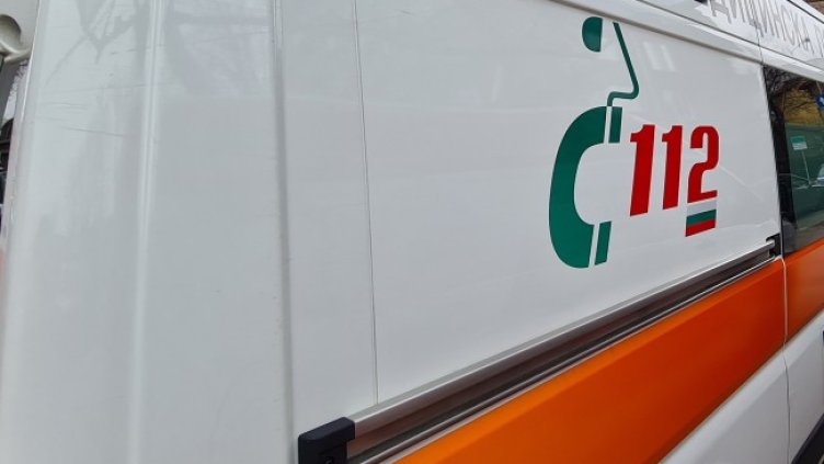 Снимка: архив, БГНЕС