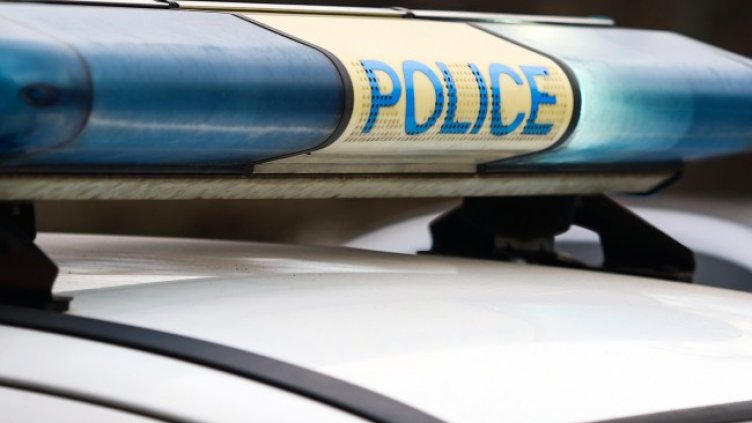 Снимка: архив, БГНЕС