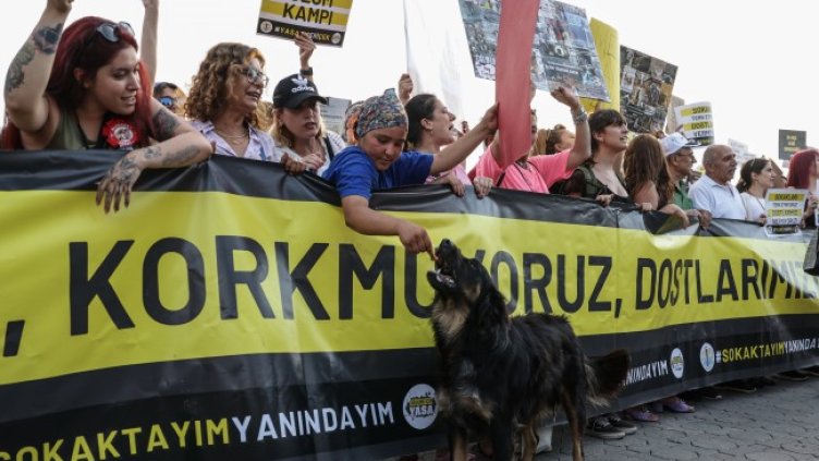 Снимка: архив, БГНЕС