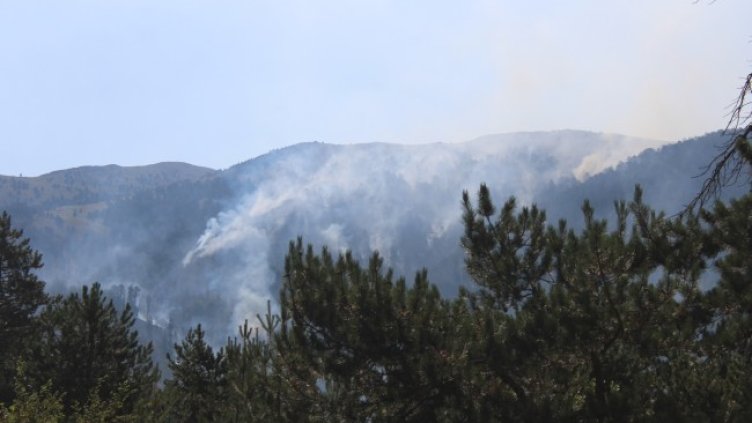 Снимка: архив, БГНЕС