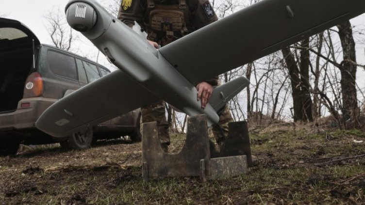 Снимка: архив, БГНЕС