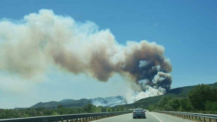 Снимка: Militsa Ivanova Gladnishka, Facebook