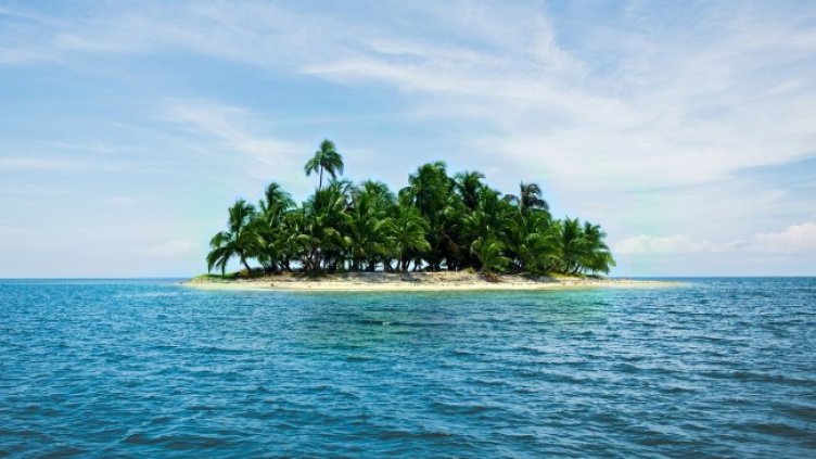 Снимка: Pixabay