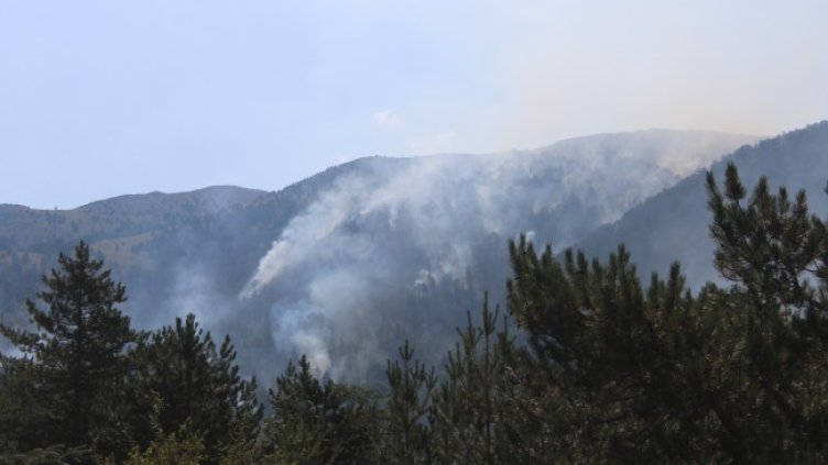 Снимка: архив, БГНЕС