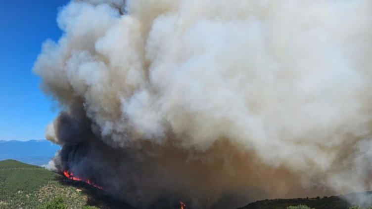 Снимка БГНЕС