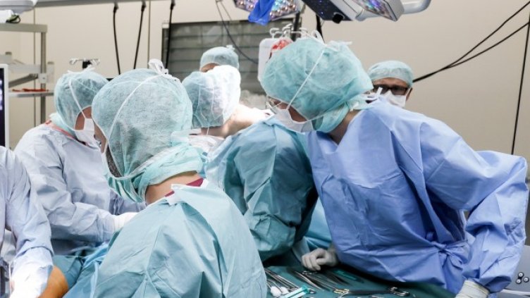 Снимка: архив, БГНЕС