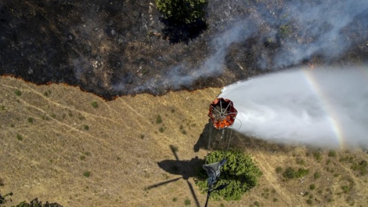 Снимка: БГНЕС