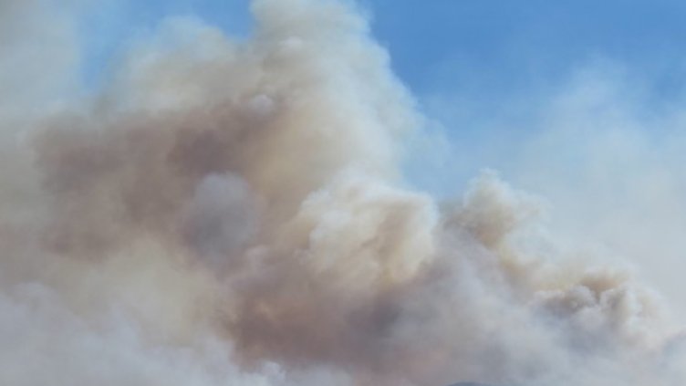 Снимка: архив, БГНЕС