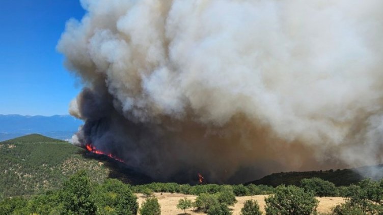 Снимка БГНЕС, архив