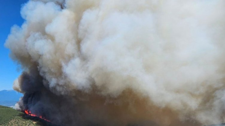 Снимка БГНЕС, архив