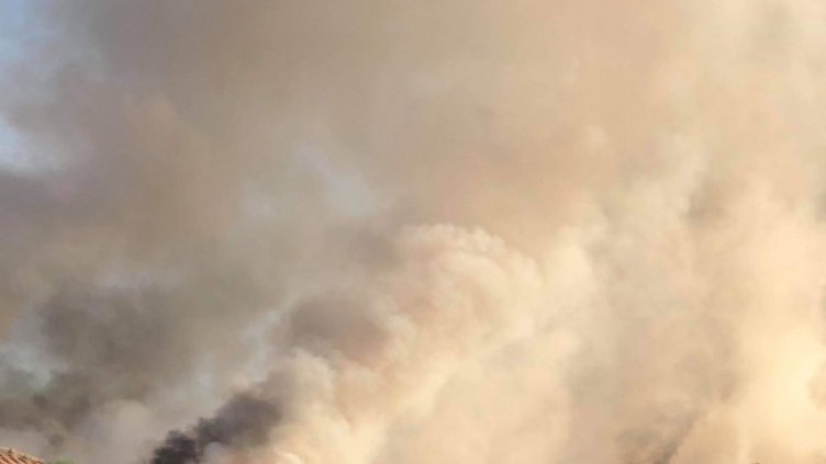 Снимка: архив, БГНЕС