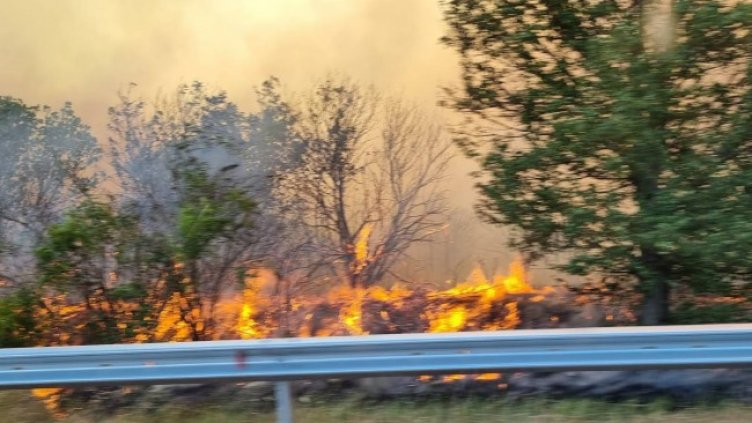 Снимка: БГНЕС