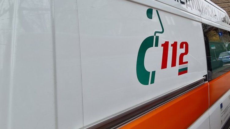 Снимка: архив, БГНЕС