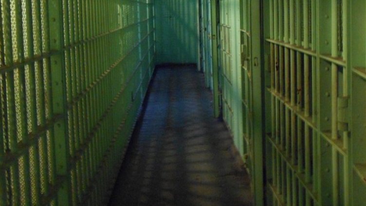 Снимка: Pixabay