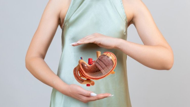 Снимка: Istock