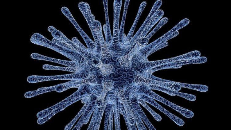 Снимка: Pixabay/PublicDomainPictures