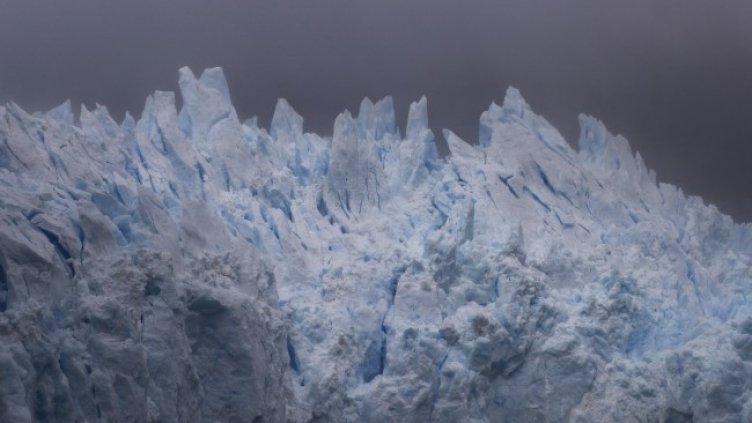 Снимка: архив, БГНЕС