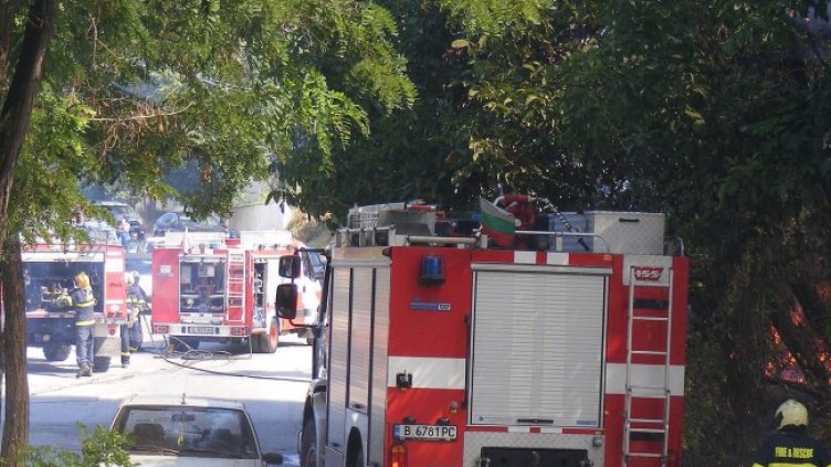 Снимка: архив, БГНЕС