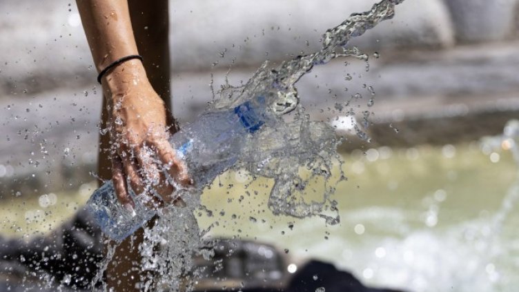 Снимка: архив, БГНЕС