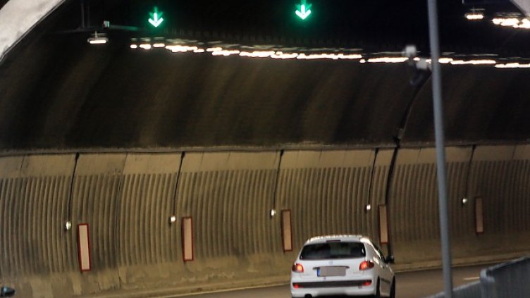 Снимка БГНЕС, архив