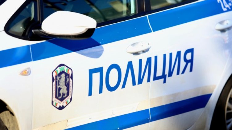 Снимка: архив, БГНЕС