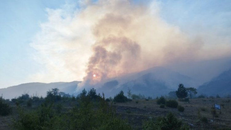 Снимка: БГНЕС