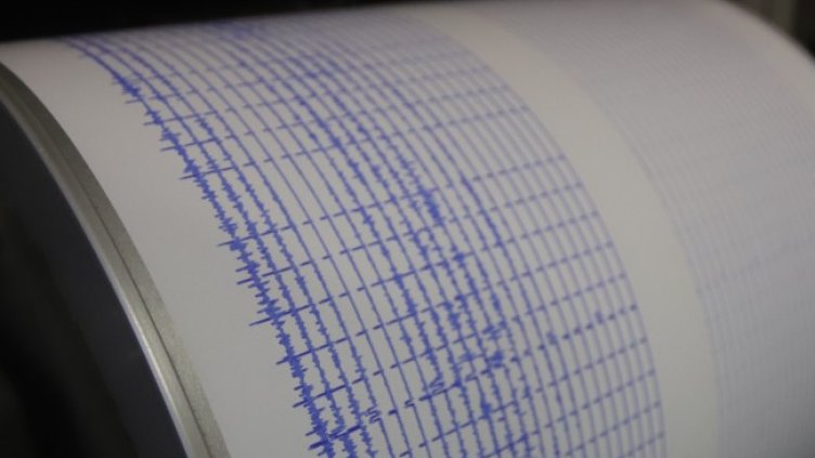 Снимка: архив, БГНЕС