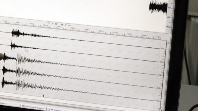 Снимка: архив, БГНЕС