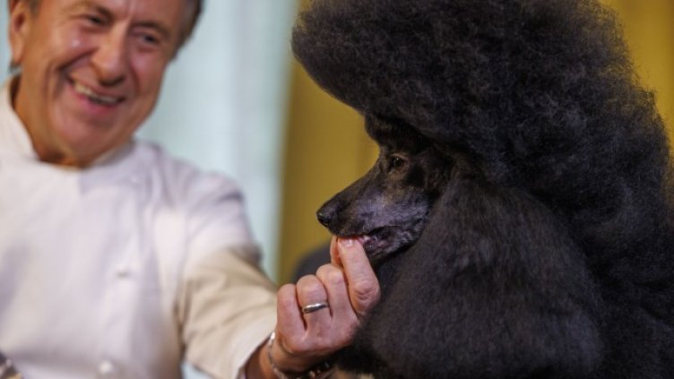 Снимка БГНЕС