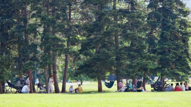 Снимка: архив, БГНЕС