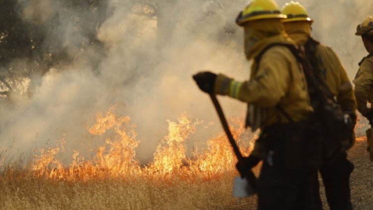 Снимка БГНЕС