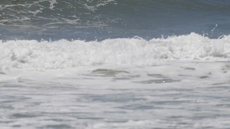 Снимка: архив, БГНЕС